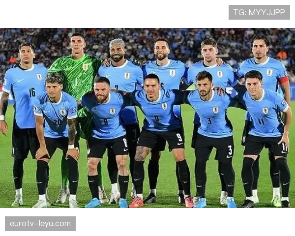 乌拉圭队战术亮点 乌拉圭队战术亮点