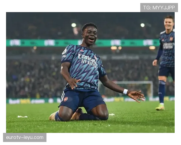 萨卡数据真实性与体系作用解析 萨卡数据真实性与体系作用解析