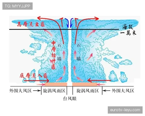 赖斯的防守覆盖与拦截能力解析